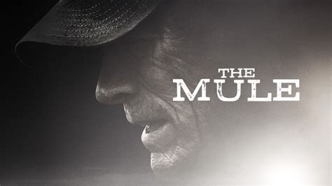 the mule watch|the mule on netflix.